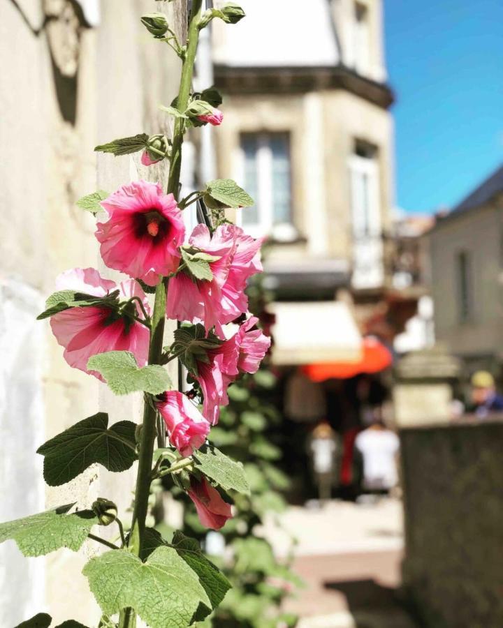 Joffre Splendid Near The Apartment Arromanches-les-Bains